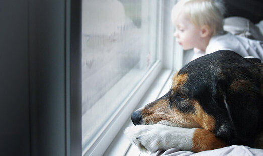 Ein Hund und ein kleines Kind sitzen vor dem Fenster und schauen nach draußen. Draußen regnet es.