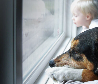 Ein Hund und ein kleines Kind sitzen vor dem Fenster und schauen nach draußen. Draußen regnet es.